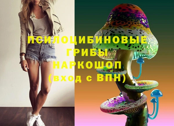 МДПВ Осинники