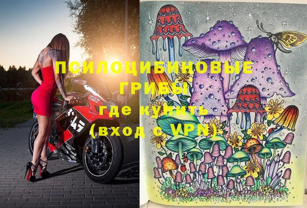 mix Пестово